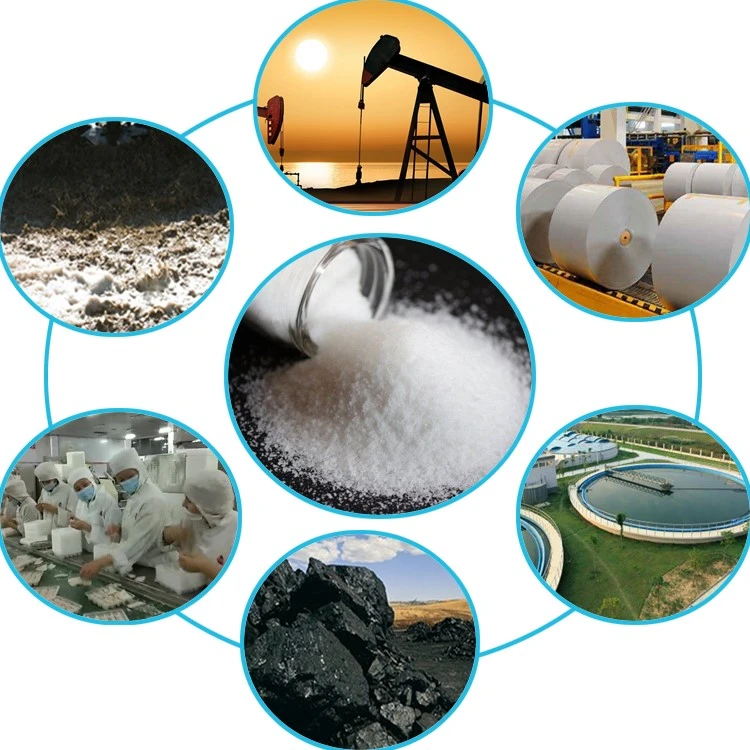 White Granule Powder Anionic PAM Polyacrylamide (2) White Granule Powder Anionic PAM Polyacrylamide (2)